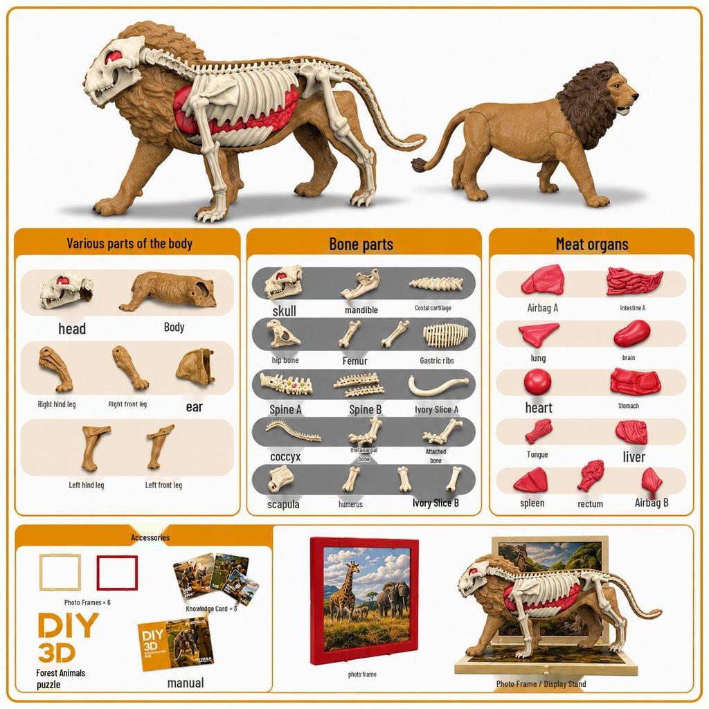 DIY 3D Dinosaur Skeleton Model: Tyrannosaurus & Triceratops