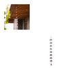  Rain Chain Rain Catchers for Outdoor Decorations, Beautiful Hangings Pendants