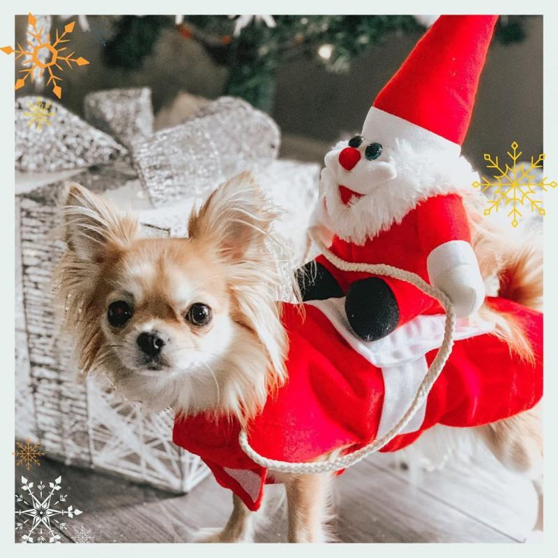 Pet Costume Christmas Santa Outfit Dogs Cats Large Breeds Golden Retriever Riding Style Winter Holiday Dress
