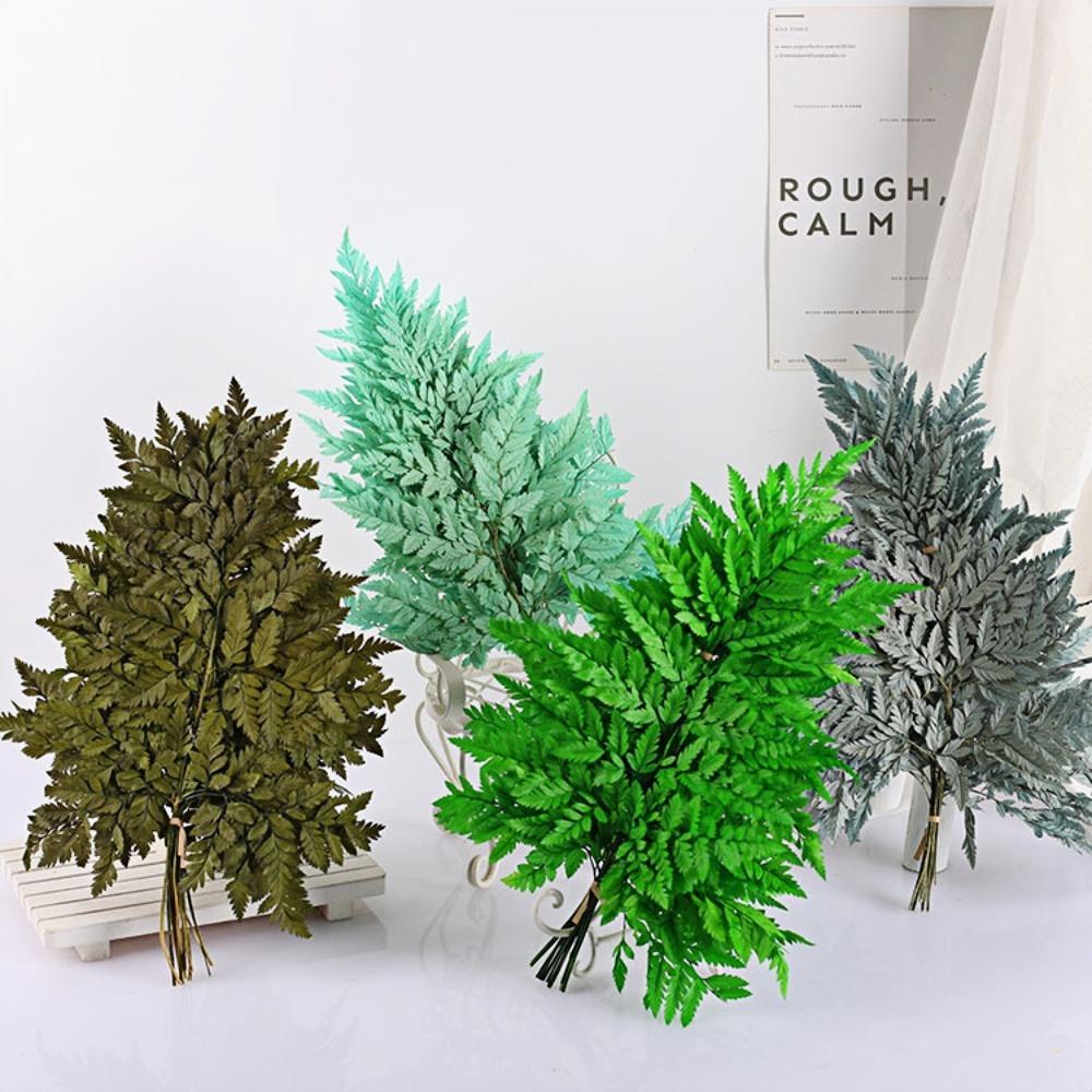 Preserved Fern Leaf for Home Decoration,Eternal Life,Natural Real Fern Plant,Handmade Flowers Material,Wedding,Home, 5Pcs,10Pcs