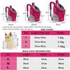 New Double Shoulder Portable Travel Backpack Outdoor Pet Dog Carrier Bag Pet Dog Front Bag Mesh Backpack