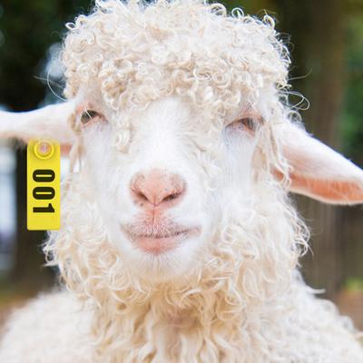 Sheep Ear Tags 001-100 Number Tags Livestock Animal Tags Ear Tag Applicator for Cows Goats Sheep Pigs Farm Animals