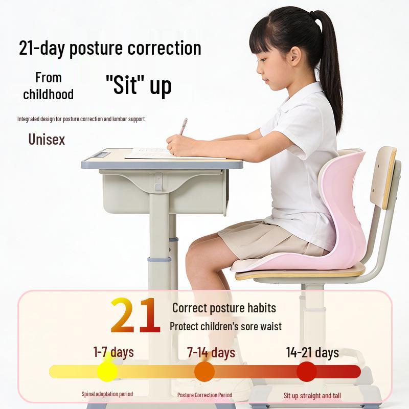Ergonomic Lumbar Support Seat Cushion for Long Sitting in Office