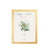 A3/A4 Magnetic Picture Frames - Kpop Photocard Holders for Walls, Windows & Fridges