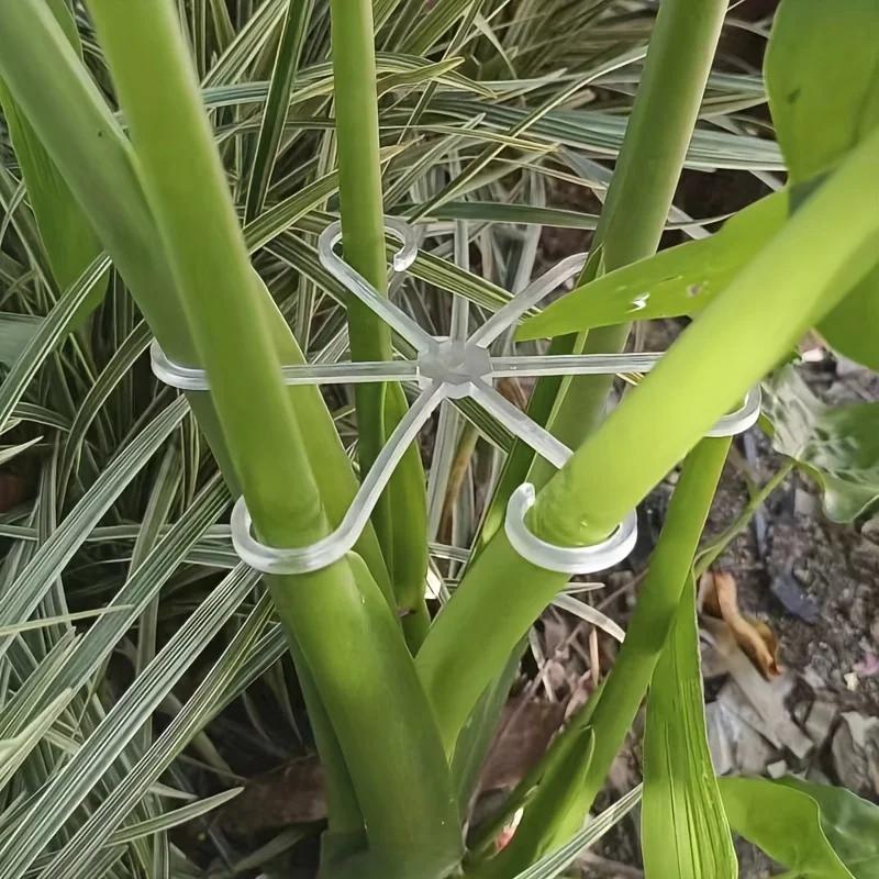 4 Plastic Plant Support Clips, Transparent Green Vine Climbing Frame, Adjustable Plant Stem Clips for Fixing and Upright Growth