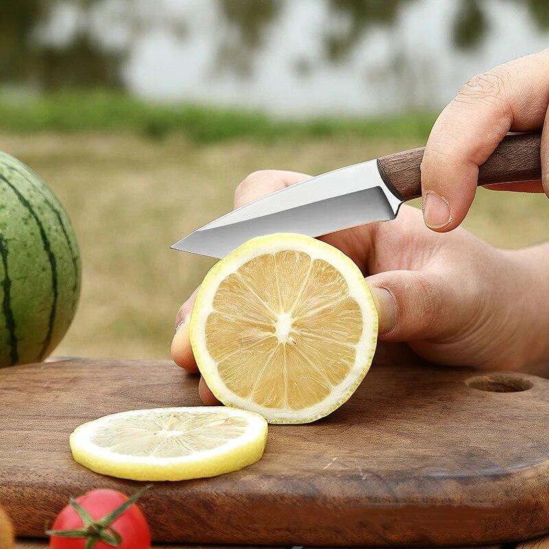 Nerezový nůž na ovoce s pouzdrem Kuchyňský nůž na zeleninu Dřevěná rukojeť Loupací nůž Venkovní přenosný kemping