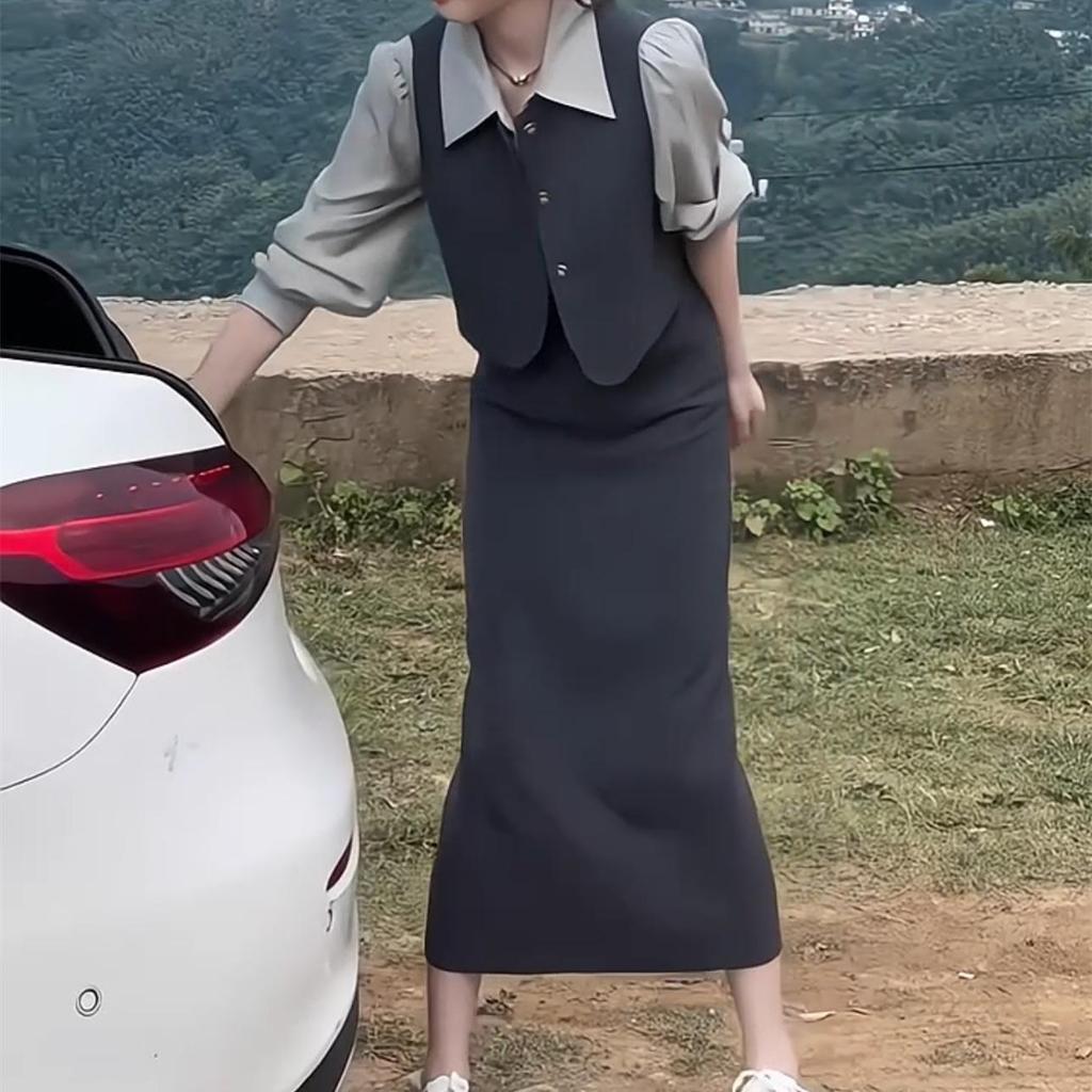 Early Spring Women's Mature Suit: Sleeveless Vest, Shirt, Wide-Leg Pants Petite 3-Piece Set