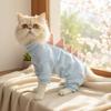 New Dinosaur Shape Cat Clothes Warm Comfortable Cat Vest Lightweight Hairless Cat Thermal Clothing Pets Clothing