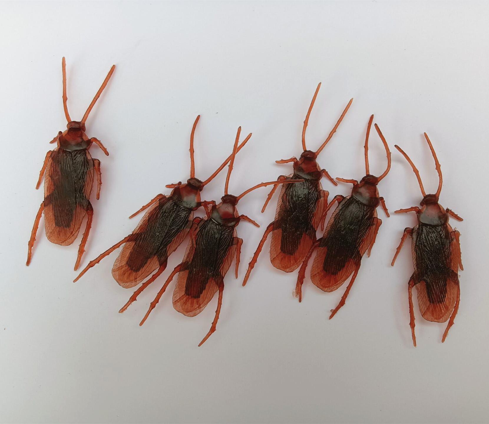 

Сяоцян Страшный Хэллоуин Игрушка Фальшивый Таракан - Реалистичная ПВХ Кукла для Розыгрышей коричневый