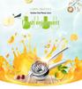 Stainless Steel Manual Juicer for Lemons & Oranges (Large/Small)