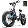 URLIFE E20 Pro Urban Electric Bicycles 750W Motor 48V 15.6Ah Battery 20x4.0-inch Tires