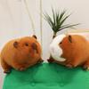 New Cute Guinea Pig Doll Plush Toy Piggy Doll Children Soothe Rag Doll Girl Birthday