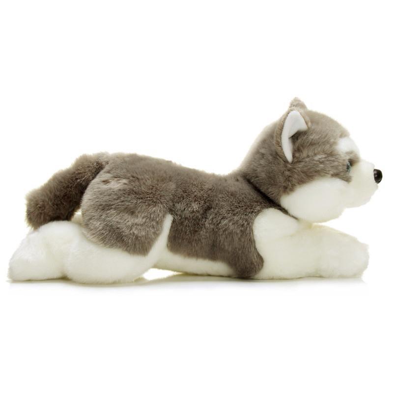 Anime Toys Dárek Anime Model Toys Dárková kolekce Akční figurka Anime Model Toys Dárková kolekce Akční figurka Anime Model Toys Dárková kolekce
