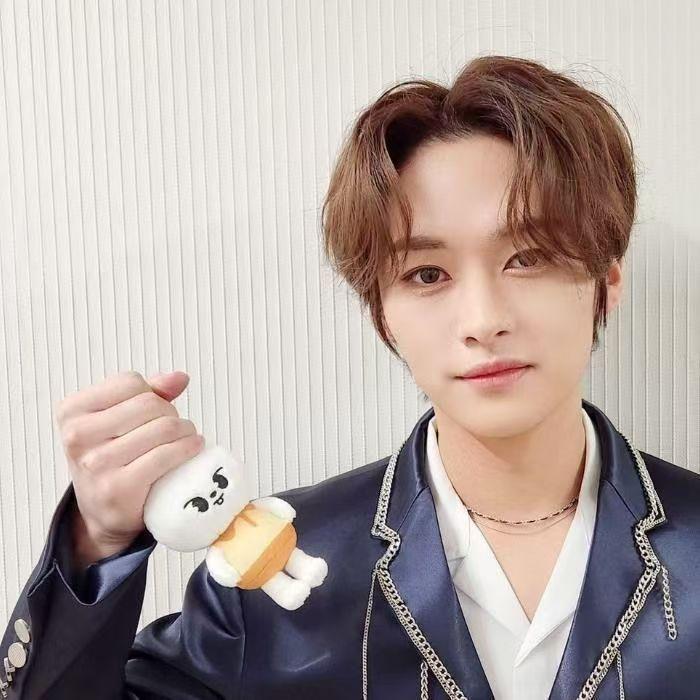 Nuevos Llaveros de Muñeco de Peluche de Stray Kids Figura Colgante Llavero Encanto Soporte para Llaves Decoración de Bolso