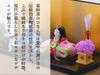 Yakushigama Festival Hina Dyed Painting Yayoi Decoration Hina Dolls Paulownia Wood Storage Box and [Girls' Dolls] (with Stand, Two-Tier Display)