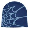 Unisex Spider Web Printed Knit Hat, Warm Outdoor Pullover Hat Personality Beanie Hat