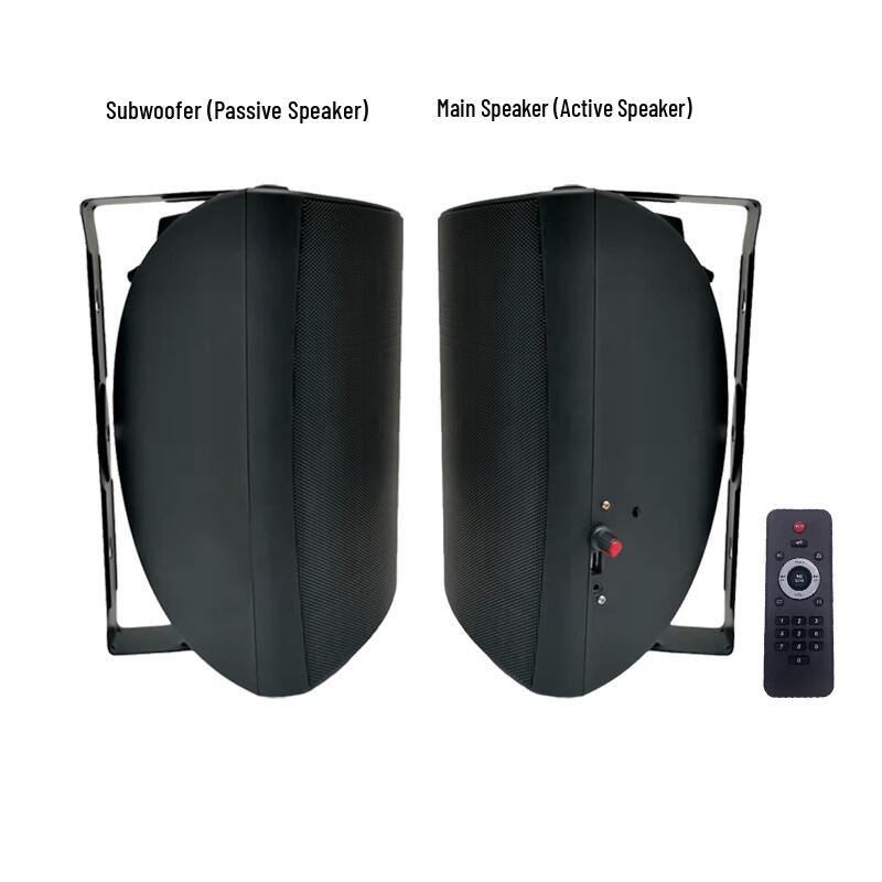 Altoparlante Audio Attivo Professionale Weishu K-200 (Versione NC)