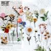 Kawai Stationery PET Sticker Pack Jennys Time Series Plant Creative Handbook Material DIY Decorative Stickers 8 Types Lovely