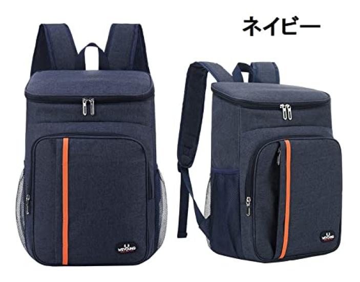 Insulated Cooler Foldable Soft Cooler 18L Backpack, Bag, Box, (Navy)