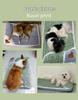 Washable Four Seasons Thickened Pet Bed for Deep Sleep – Ideal for Small To Medium Dogs & Cats