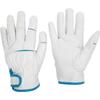 Midori Anzen Leather Gloves Size Genuine Pigskin Leather Velcro Women's MT-550, M, MT-550-M, Gloves, Closure.