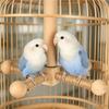 Colorful Rotating Windmills Toy Wood Interactively Bird Stand Parrots Ferris Wheel Toy with Perches Exercise Gym Stand
