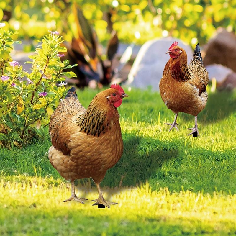 Chicken Garden Stakes Acrylic Yard Signs Outdoor Sculpture Statue Potted Plant Ornaments Garden Insert Yard Lawn Decor