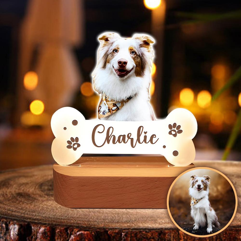 Custom Photo Acrylic Pet Growth Memory Night Light Pet Accompany Moments Personalized Bedroom Bedside Desktop Home Decor Gift
