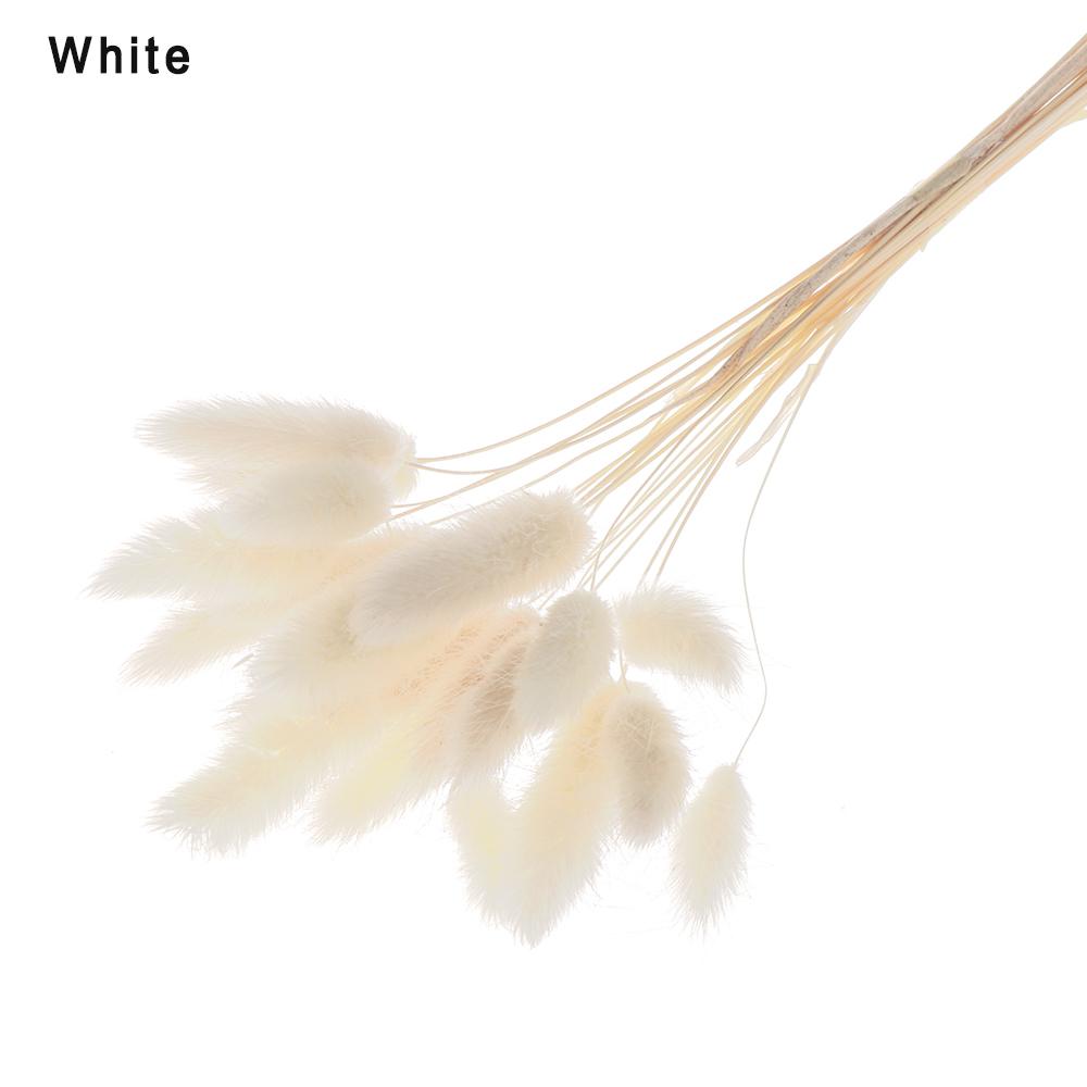 20 ks/svazek Přírodní sušené květiny Králičí ocas Umělé květiny Barevné falešné králičí ocásky Kytice Pastorační styl Foto Pr
