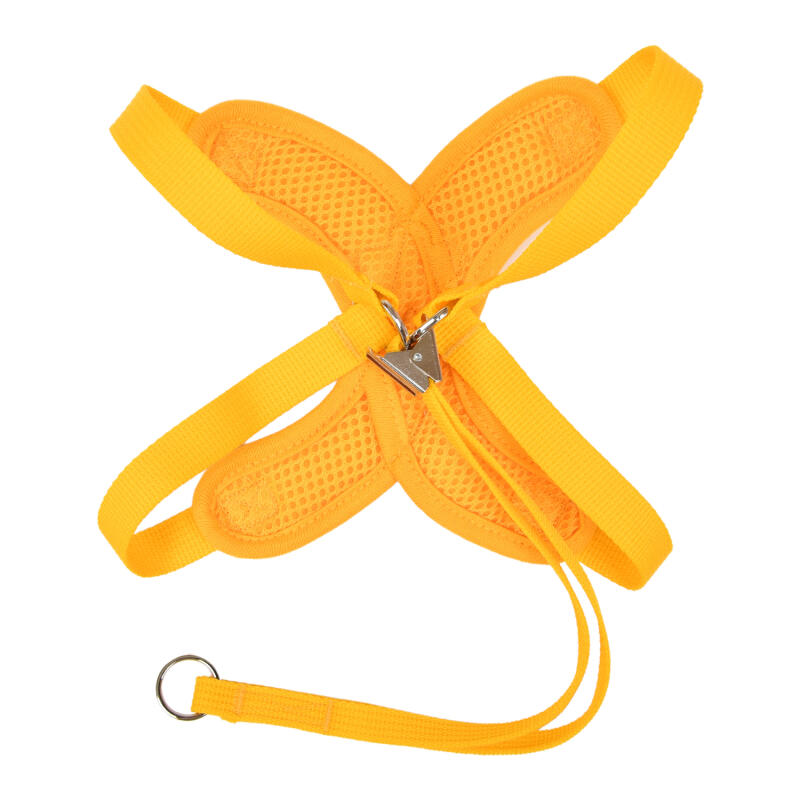 Daisy X Harness M (OAVA-HX6251)