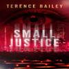 Small Justice by Terence Bailey Paperback Book 9781786153814