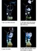 Unique Glass Cup For Cocktail Absinthe Milk Hookah Creative Multi Use Bar Drinkware Home Bar Gift For Beverage Enthusiasts New