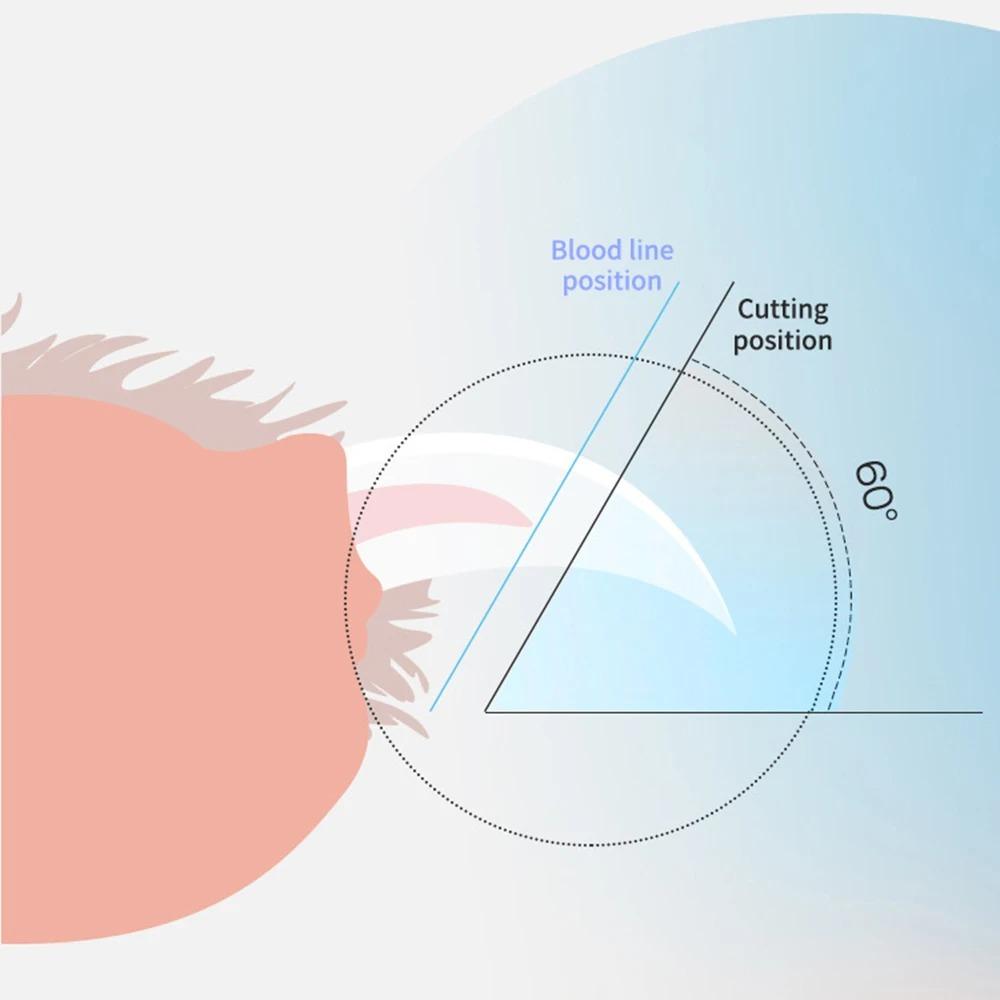 Professional Pet Nail Clippers With Led Light Pet Claw Grooming Scissors For Dogs Cats Small Animals Paw Nail Trimmer Pet Supply