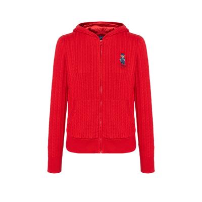 Polo Hoodie Embroidered Bear Cable Knit Sweater Kids Sweater 313951749-001