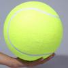 24 cm Giant Tennis Ball Pet Chew Toy Uppblåsbar Tennisboll Signatur Pet Toy