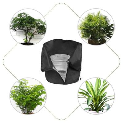 Recinzioni e reti da giardino – Serre da giardino
