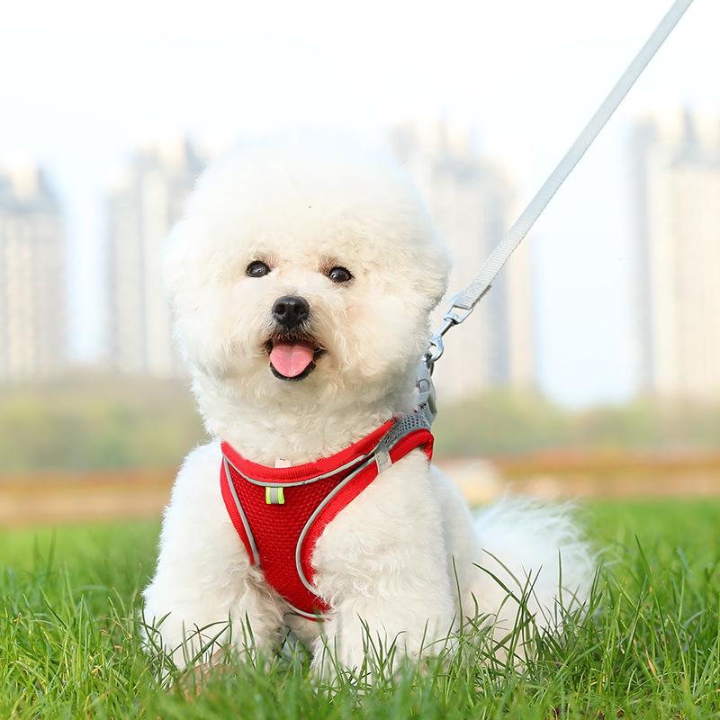 Durable Nylon Dog Harness & Leash Set for Large Dogs and Cats