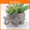Harz Elefant Blumentopf Mit Süßem Design Für Heimdekoration Und Zimmerpflanzen