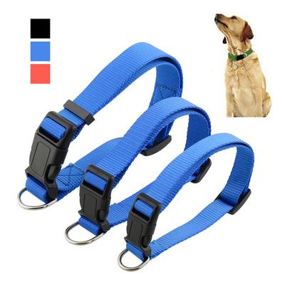Cani – Collari e guinzagli per cani