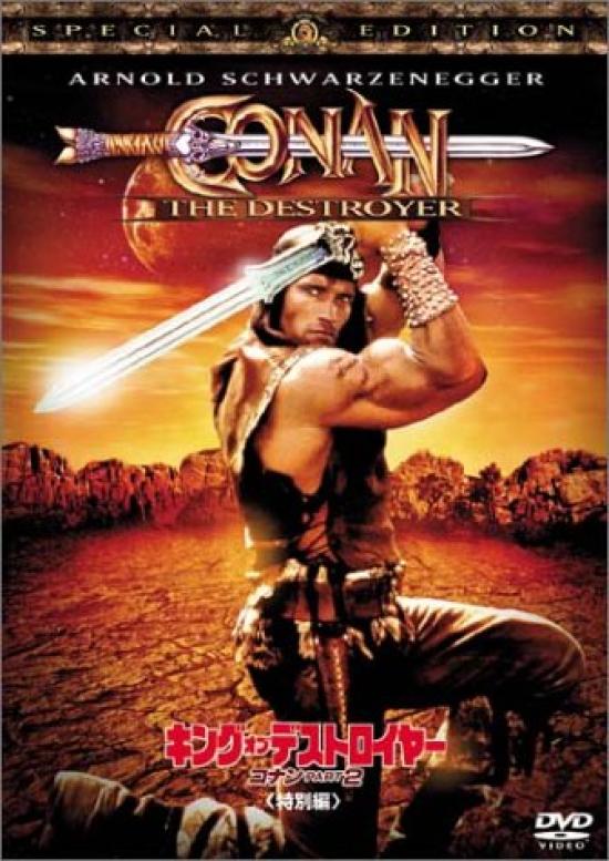 Conan the Destroyer Part 2 (Special Edition) [DVD]