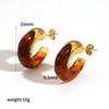 Modern Geometric Resin Stainless Steel Earring For Women With Gold Plating And Elegant Style