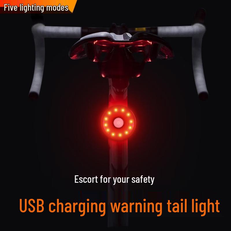 Lishi FY-322 USB-wiederaufladbares Fahrrad- und Lauf-Rücklicht 2er-Pack