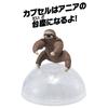 Takara Tomy Ania AC-06 Sloth (Children's) Animal Dinosaur Toy for Ages 3 and Up