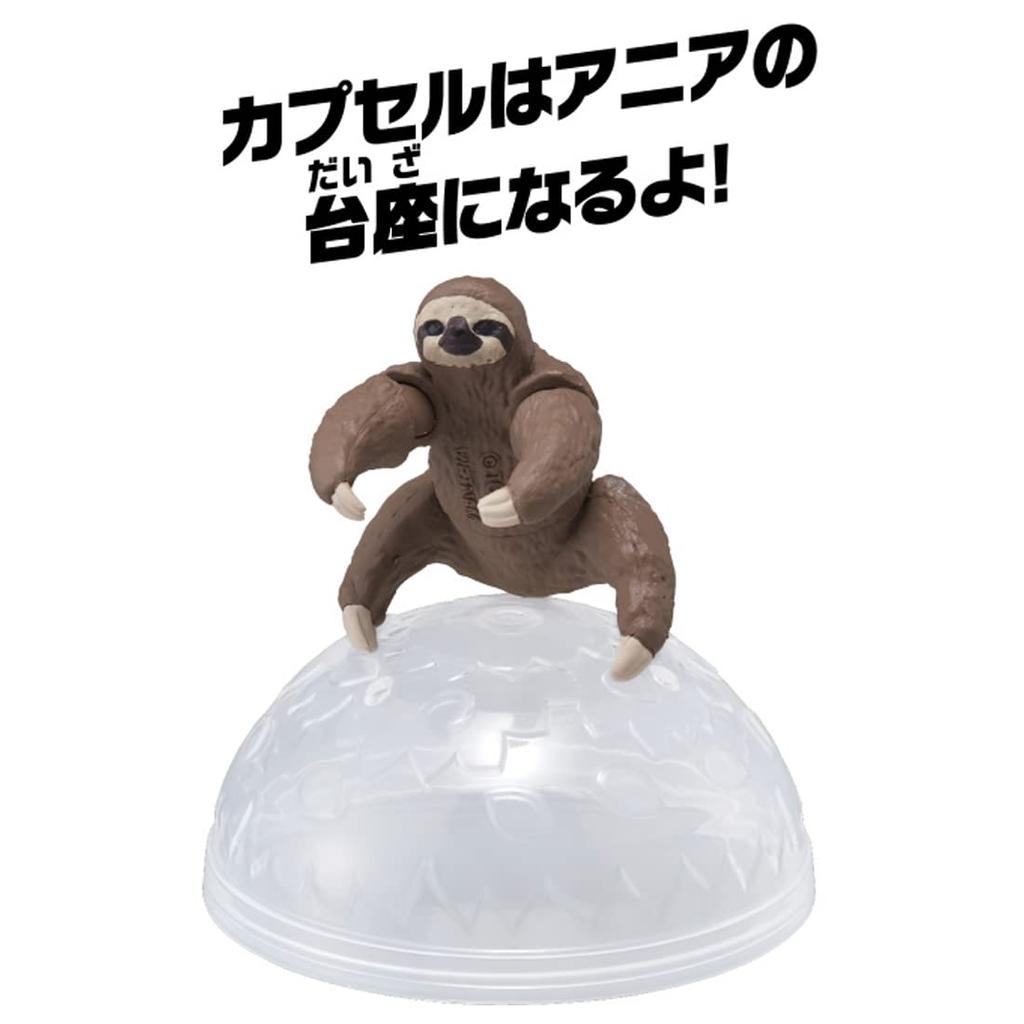 Takara Tomy Ania AC-06 Sloth (Children's) Animal Dinosaur Toy for Ages 3 and Up