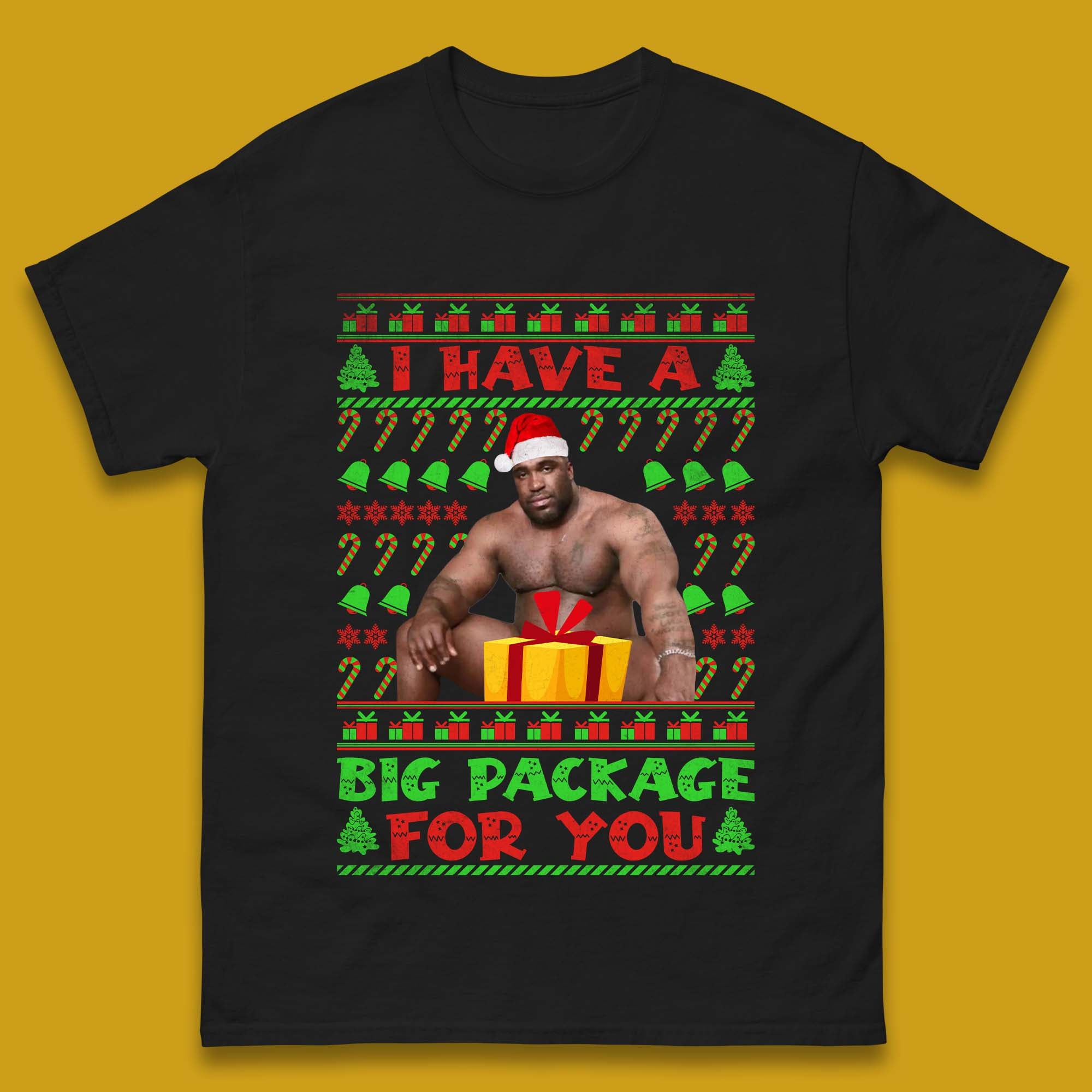 Big Package Ugly Christmas Mens T-Shirt Womens Tops Tees M