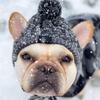Warm Pet Dog Knitted Hat Windproof Headwear for Autumn Winter French Bulldog Hat for Dogs Chihuahua Hat Fluffy Ball Pet Hat