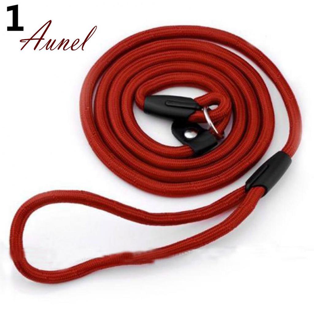 Fantastic Leash Lead Strap Nylon Traction Rope Pet Dog Collar Outdoor Training