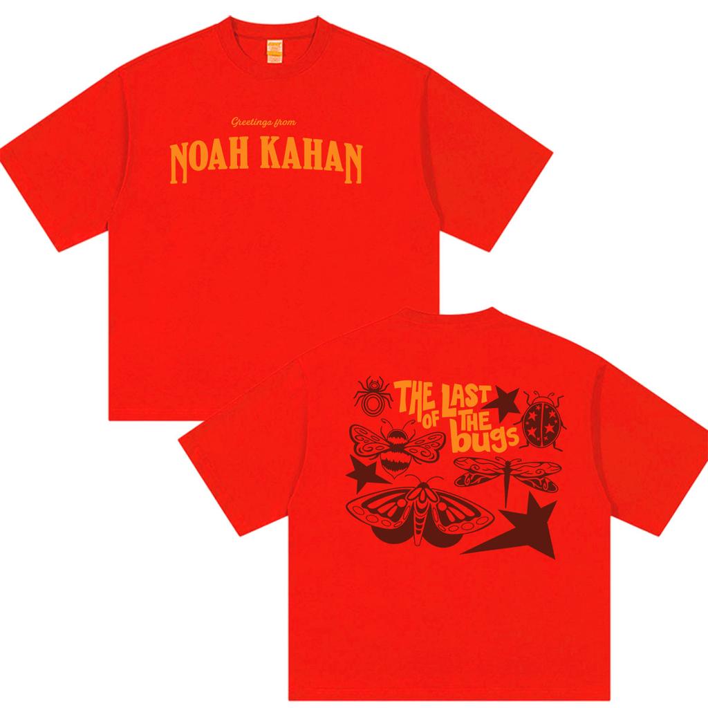 Noah Kahan The Great Divide Last of The Bugs Tour 2026 Print T Shirts Unisexs Women Harajuku High Quality Oversized Cotton Tshirt