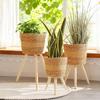 Nordic Rattan Woven Flower Pot and Stand for Living Room/Balcony Decor.