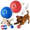 Interactive Jumping Ball Dog and Cat USB C Set Red and Blue